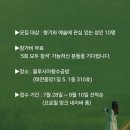 블루시아 네이버블로그
