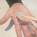 홀통토박이바다횟집 | 부산 토박이 현지인 횟집 추천 광안리 해수욕장 민락회센터 여수상회 참돔유비끼 회포장