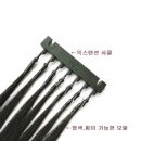 남愛머리