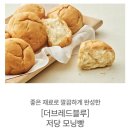 컬리 비건빵 더브레드블루 저당 모닝빵 내돈내먹 후기 (컬리 추천인 ID : sjk0605)