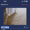 잠수교PC 이미지