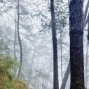 뉴힐링캠프 이미지