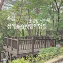 솔바람 야영장 이미지
