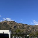 에덴피시 | 우뱅크 미션베이 코히마라마비치 콘월공원 원트리힐 에덴마운틴 오클랜드박물관 실비아파크 오클랜드...