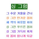 애락의원 Daum카페