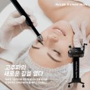 매직파워 이미지