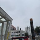 하삼동에비뉴 | 인천피부탄력케어 피부에 활력을 더하는 맞춤관리 _ 디어온뷰티 주안