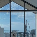 도그스타동물병원 이미지