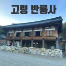 반룡사 - 531 | 조용하고 힐링하기 좋은 대구 근교 사찰, 고령 반룡사