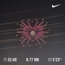 일심양꼬치점 | 24년 10월 (관악산/경주 당일치기/부문 워크숍/음악 운동회/H-콘서트/홍어)