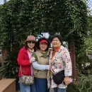 임동