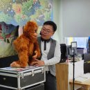 가창초교병설 이미지