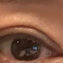 디자이너성형외과의원 이미지