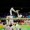 국가대표 HERO 영웅 태권도 이미지