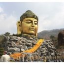 와우정사 이미지