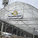 헬로우마켓 이미지