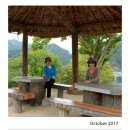 준 꼬꼬 이미지