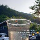 엄둔밸리 캠핑장 이미지