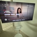 선명 | 이동식 TV | 자취방·원룸에서 밝고 선명한 43인치 티비 후기