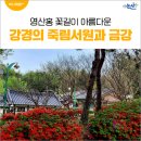 광장75호 | 영산홍 꽃길이 아름다운 강경의 죽림서원과 금강