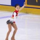 고리울초 이미지