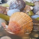 올거제펜션 이미지