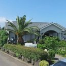 제주올레공인중개사사무소 이미지