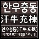 한우충동 (汗牛充棟) 이미지