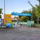 광명시어린이교통교육장 | 광명시어린이교통공원 : 교육장에서 아이와 함께 페달자전거 타보기