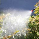 동진원예사 이미지