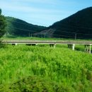 영해 카 부분정비 이미지