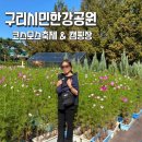 왕숙천둔치공원(관리사무실) | 구리시민한강공원 주차 가족힐링 캠핑장 피크닉 / 구리코스모스축제 현재 상황