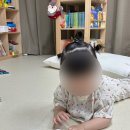 코알라 - 고양시 덕양구 고양대로 1383-8 | <내돈내산> 생활동화전집 베베코알라 증간본 후기