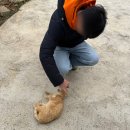 에이룩안경 만정점 | [한국 일상] 일주일을 한 달같이 보낸 꿈같은 한국 일상