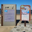 대천17-10 농로 | 무창포해수욕장, 대천해수욕장이 있는 서해랑길 59코스(춘장대해변 ~ 대천해변) - 2025.10.26/27