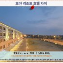 호야농장 | 자이 여행, 호야 리조트 호텔 자이 숙박 후기! 최고의 선택