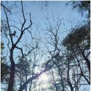 (중급) 성인영어회화 이미지