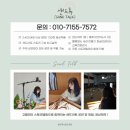 포항남부초 병설유치원 | [경주 샌드아트] 경북 포항 경주 모량초등학교 환경 교육 샌드아트 공연