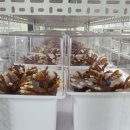 농업회사법인 웰빙주식회사 이미지