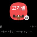 (주)재미팟 네이버블로그
