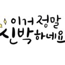 선호 합기도 이미지