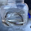 한터낚시터 이미지