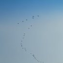여로여관 티스토리