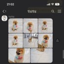 멍실멍실 이미지