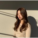 헤어.하루