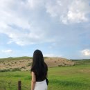 사구해수욕장2 이미지