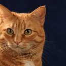 경희대 한빛 태권도장 이미지