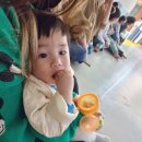 라움 태권도 이미지
