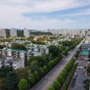 소로3-36 이미지