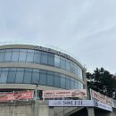 선암 | 울산 선암호수공원 카페 쏠레이 후기｜벚꽃뷰 카페 추천, 아침 방문 꿀팁까지